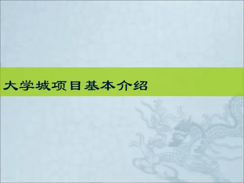 大学城项目案例分析