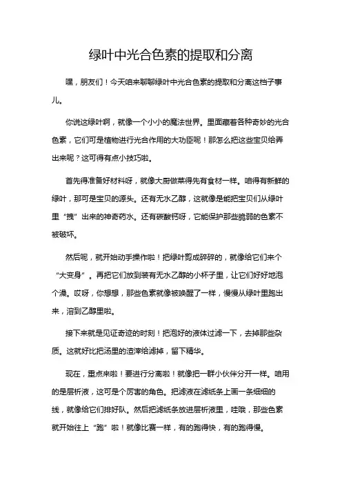 绿叶中光合色素的提取和分离