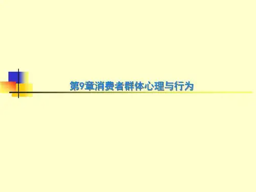 第9章消费者群体心理与行为