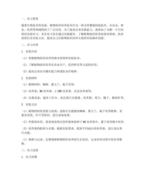 组培实验的实习报告