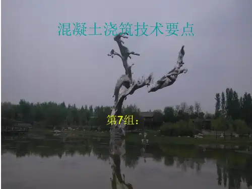 混凝土浇筑技术要点PPT课件