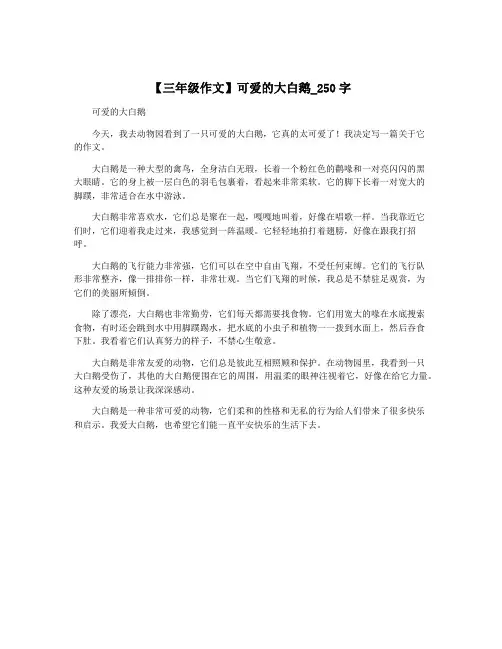 【三年级作文】可爱的大白鹅_250字