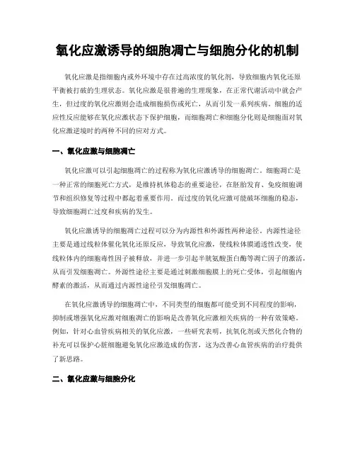 氧化应激诱导的细胞凋亡与细胞分化的机制