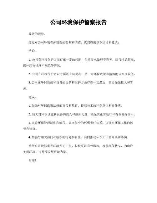 公司环境保护督察报告