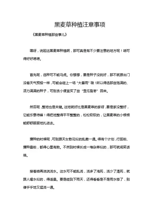 黑麦草种植注意事项