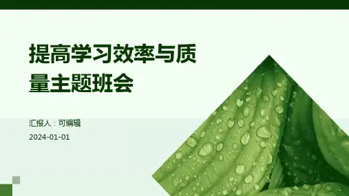 提高学习效率与质量主题班会