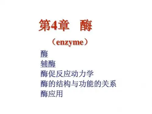 生物化学--酶-生物催化剂PPT课件