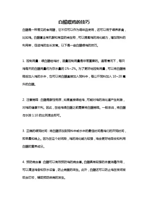 白醋喂鸡的技巧