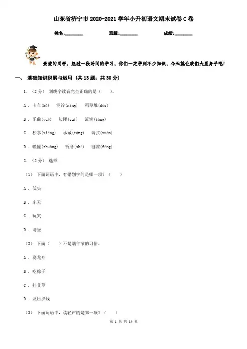 山东省济宁市2020-2021学年小升初语文期末试卷C卷(模拟)