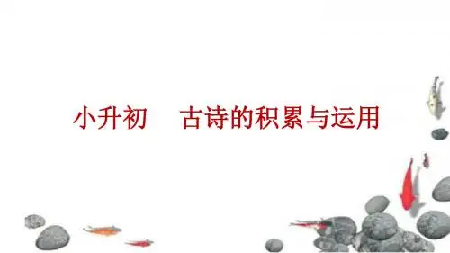 小升初语文 古诗词阅读与积累 课件  优质