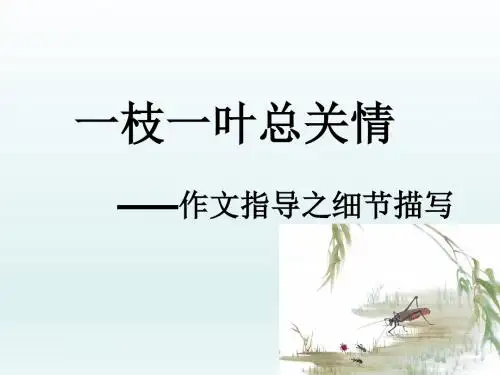 作文指导：细节描写