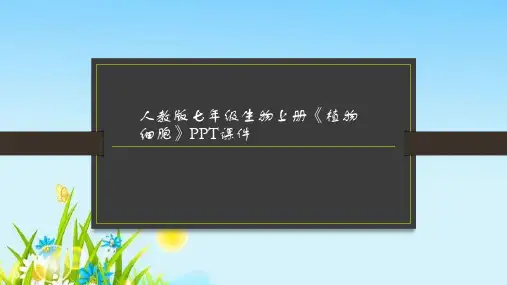人教版七年级生物上册《植物细胞》PPT课件