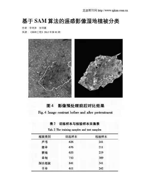 基于SAM算法的遥感影像湿地植被分类