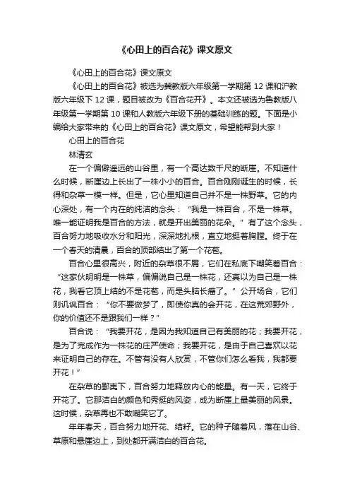 《心田上的百合花》课文原文
