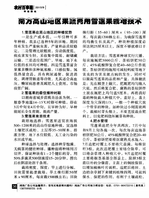 南方高山地区果蔬两用雪莲果栽培技术