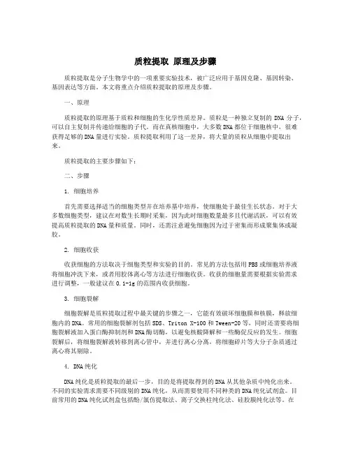 质粒提取 原理及步骤