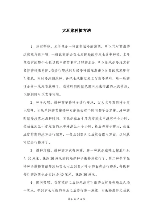 大耳菜种植方法
