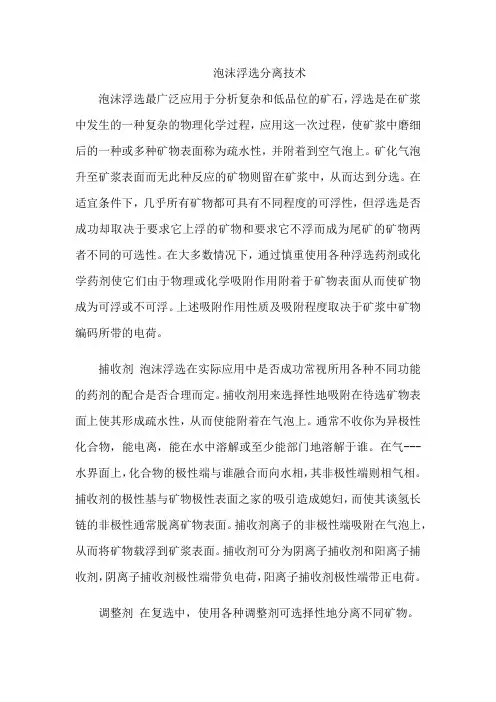泡沫浮选分离技术