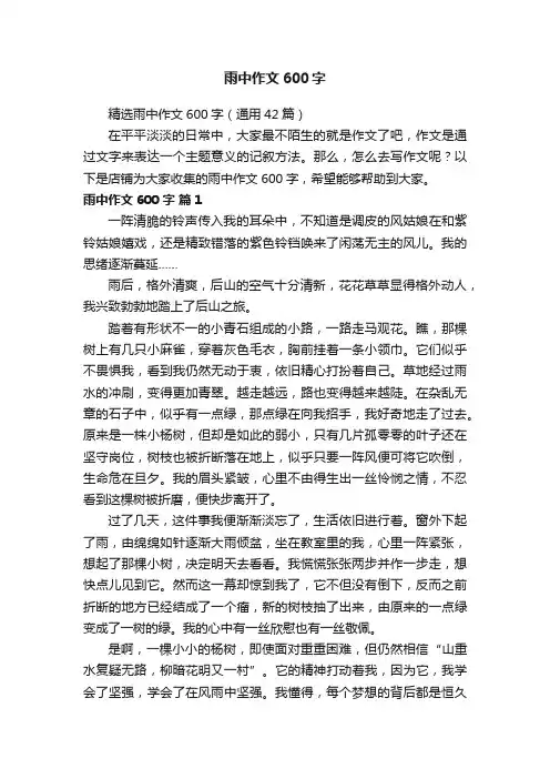 雨中作文600字