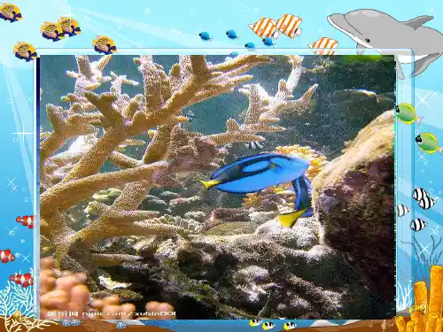 浅水洼里的小鱼1精品PPT课件