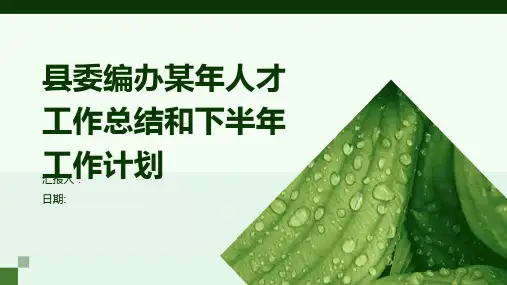 县委编办某年人才工作总结和下半年工作计划
