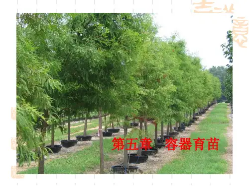 第五章容器育苗技术