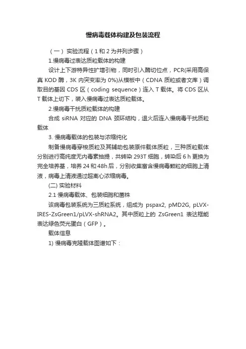 慢病毒载体构建及包装流程