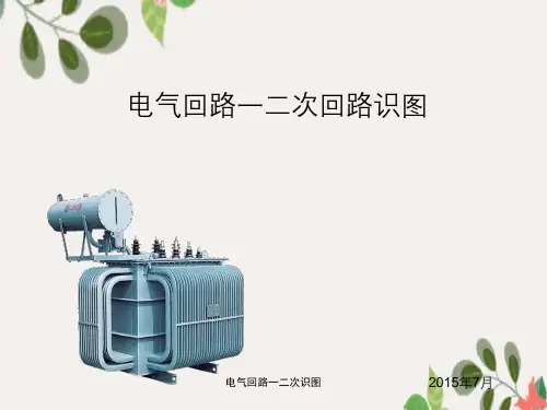电气回路一二次识图