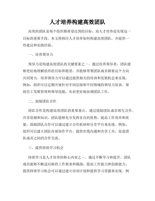 人才培养构建高效团队