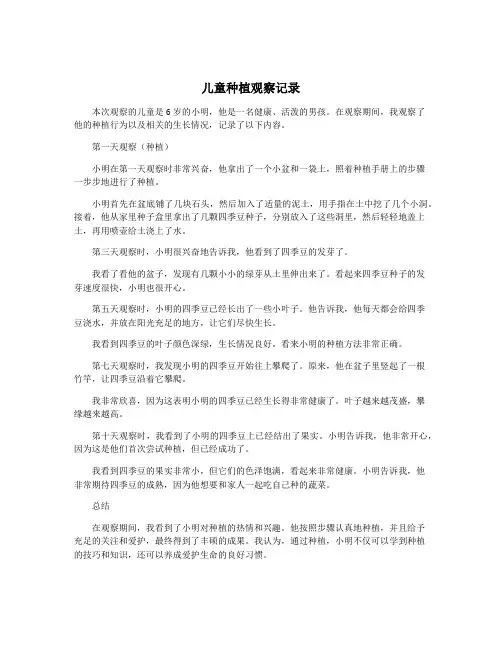 儿童种植观察记录