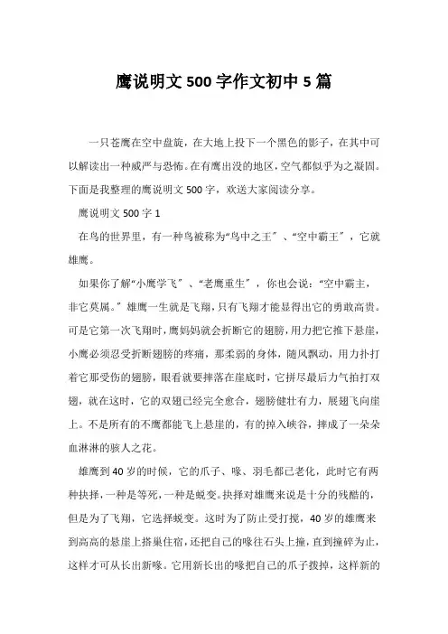 (说明文)鹰说明文500字作文初中5篇