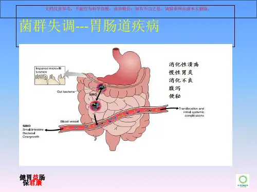菌群失调胃肠道疾病课件
