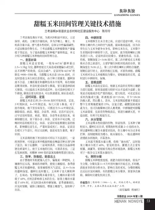 甜糯玉米田间管理关键技术措施