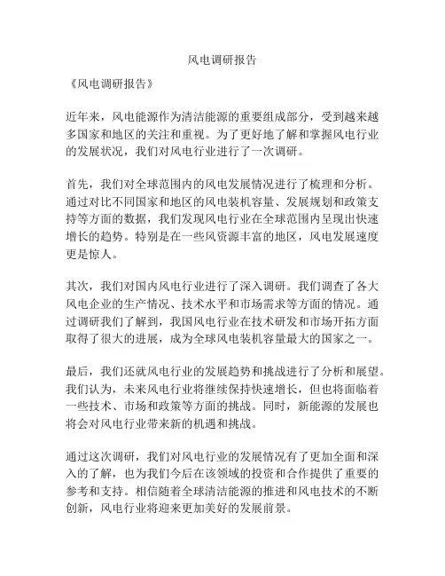 风电调研报告