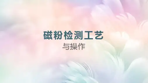 磁粉检测技术：操作要点