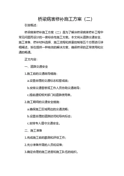 桥梁病害修补施工方案(二)