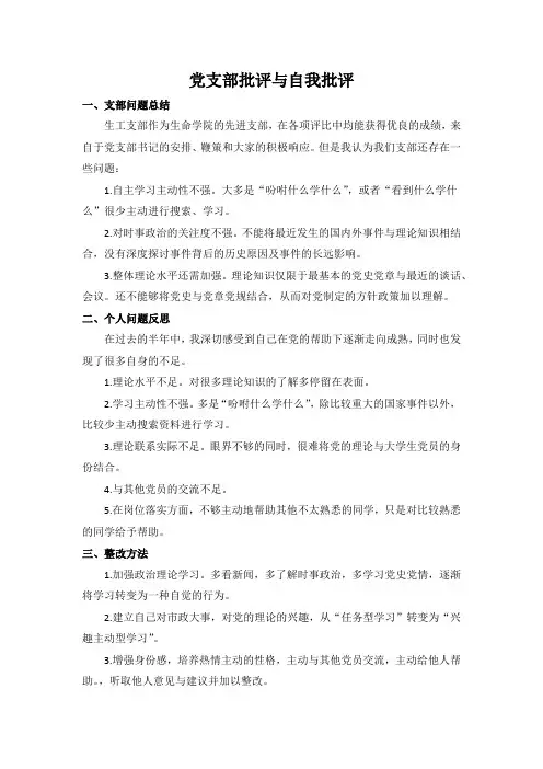 党支部批评与自我批评
