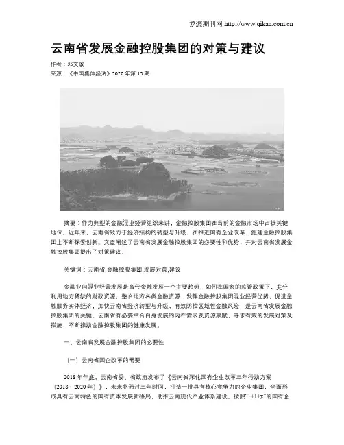 云南省发展金融控股集团的对策与建议