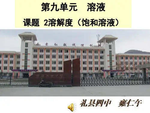 人教新版九年级化学第九单元课题2溶解度课件