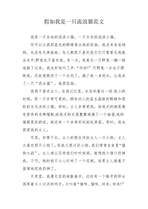 假如我是一只流浪猫范文