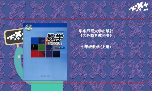 同类项课件七年级上册数学华东师大版(完整版)