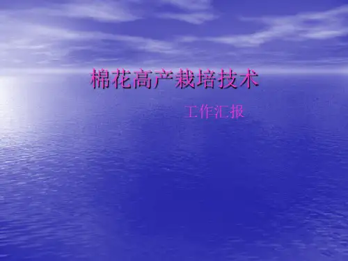 高产棉花栽培讲义