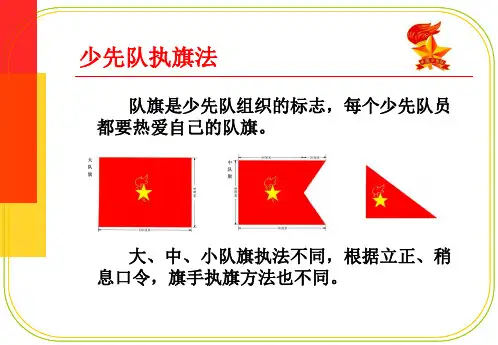 少先队执旗法