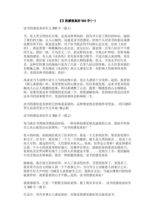 【】的感觉真好500字