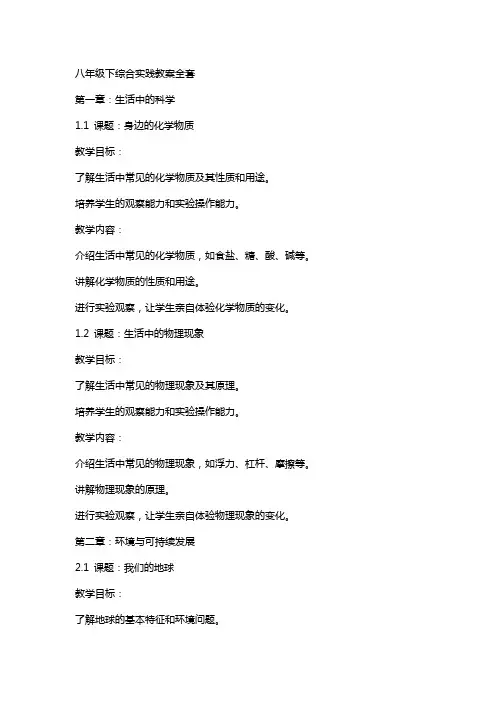 八年级下综合实践教案