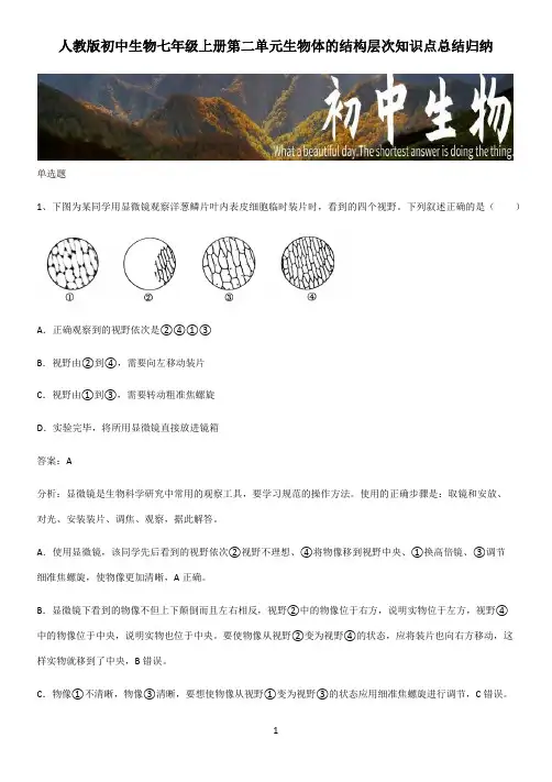 人教版初中生物七年级上册第二单元生物体的结构层次知识点总结归纳