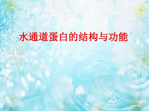水通道蛋白结构与功能的关系(教学课件)