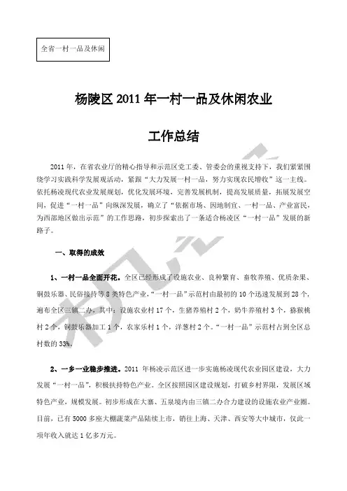 年一村一品工作总结
