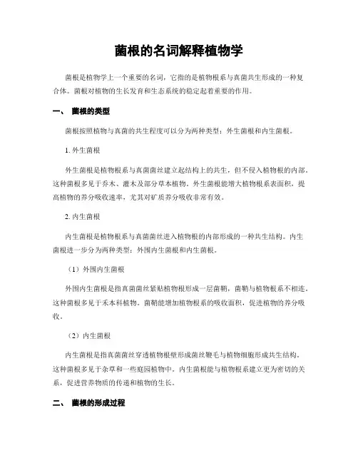 菌根的名词解释植物学