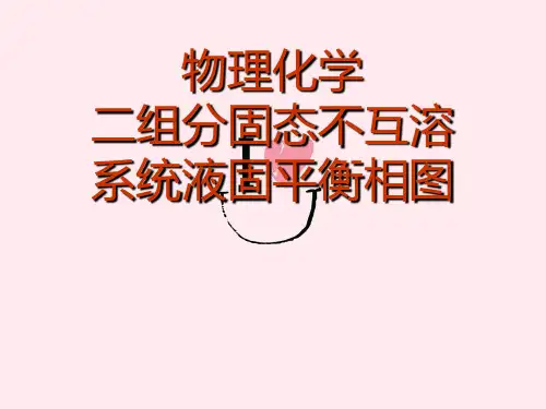 物理化学二组分固态不互溶系统液固平衡相图
